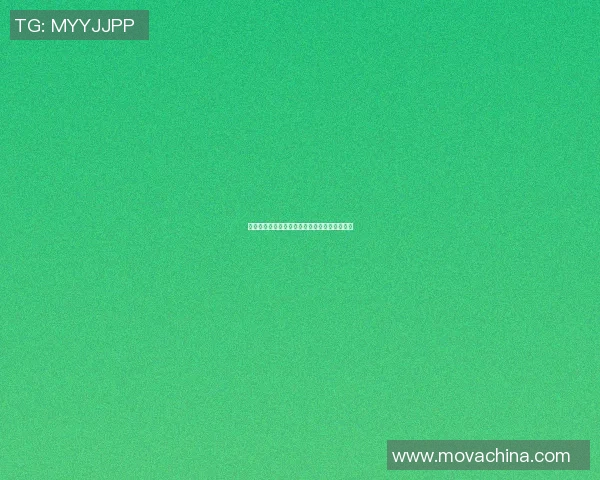豪横篮球明星的传奇之路与场上风采的完美结合